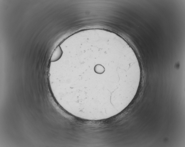 X0000115620805200912221227