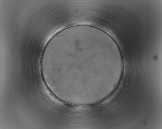 X0000115620806200912221227