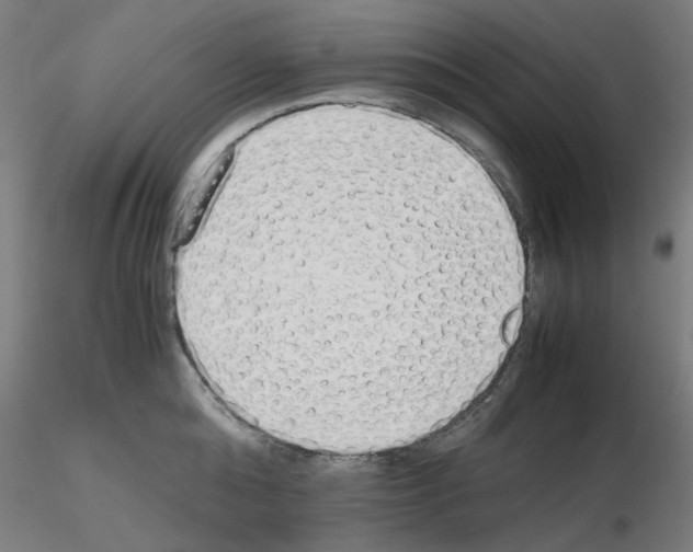 X0000115620808200912221227