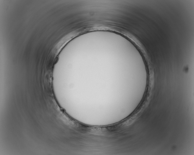 X0000115620809200912221227