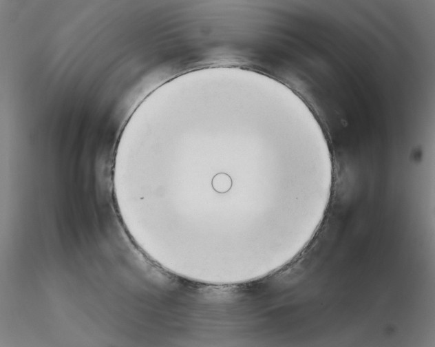 X0000115620810200912221227