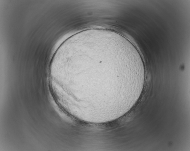 X0000115620811200912221227