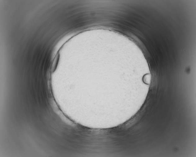 X0000115620812200912221227