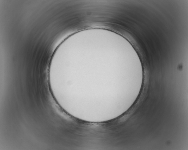 X0000115620814200912221227
