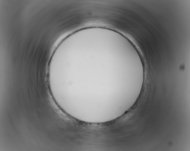 X0000115620815200912221227