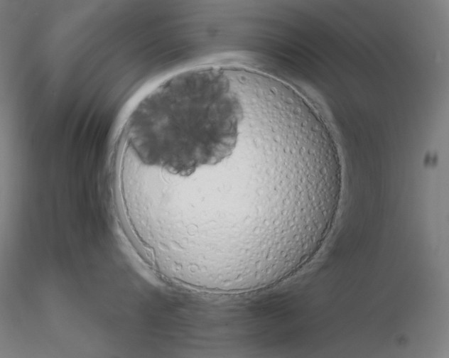X0000115620816200912221227