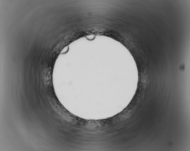 X0000115620818200912221226