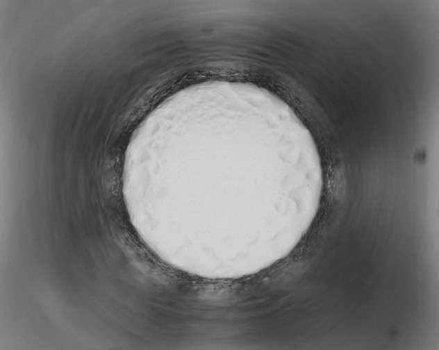 X0000115620819200912221226