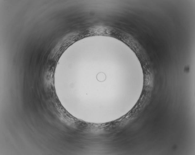 X0000115620820200912221226