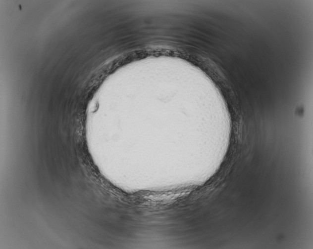 X0000115620821200912221226