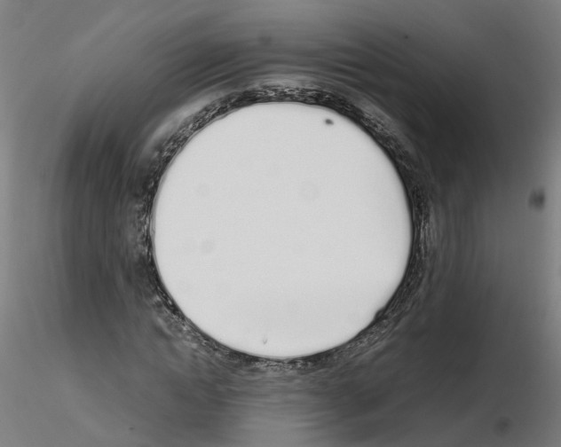X0000115620822200912221226
