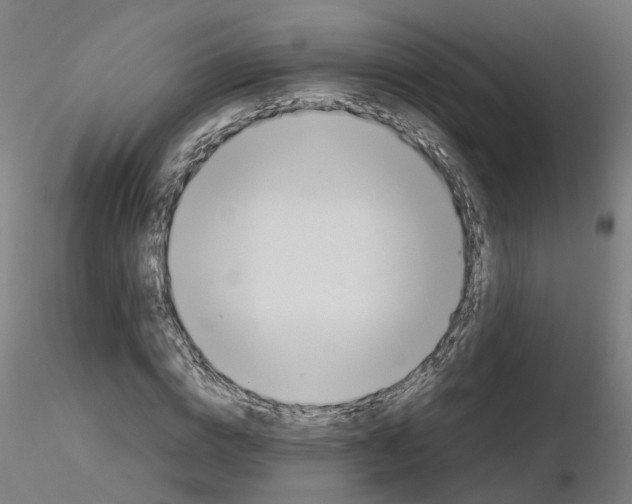 X0000115620824200912221226