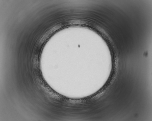X0000115620825200912221226