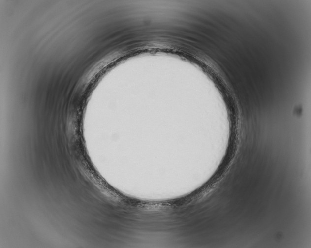 X0000115620826200912221226