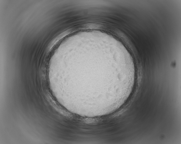 X0000115620827200912221226