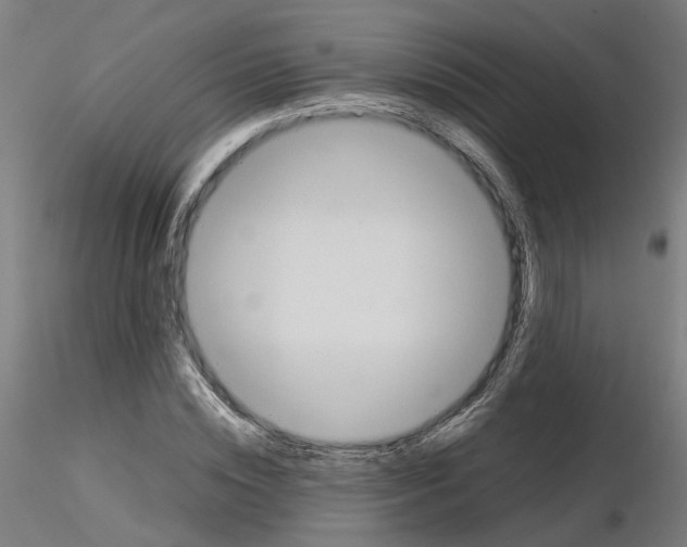 X0000115620828200912221226