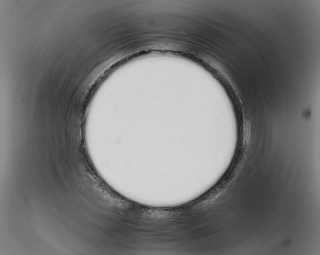 X0000115620829200912221226