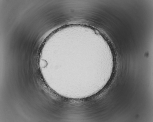 X0000115620830200912221226