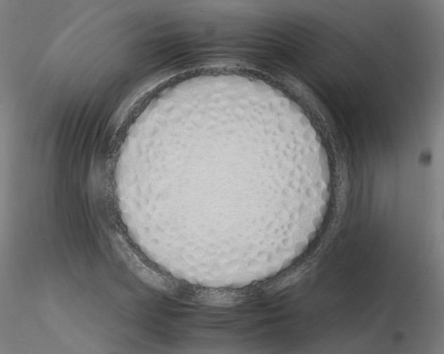 X0000115620831200912221226