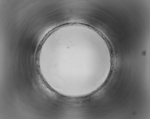 X0000115620832200912221226
