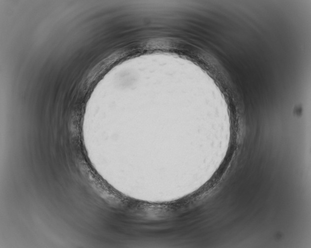 X0000115620833200912221226