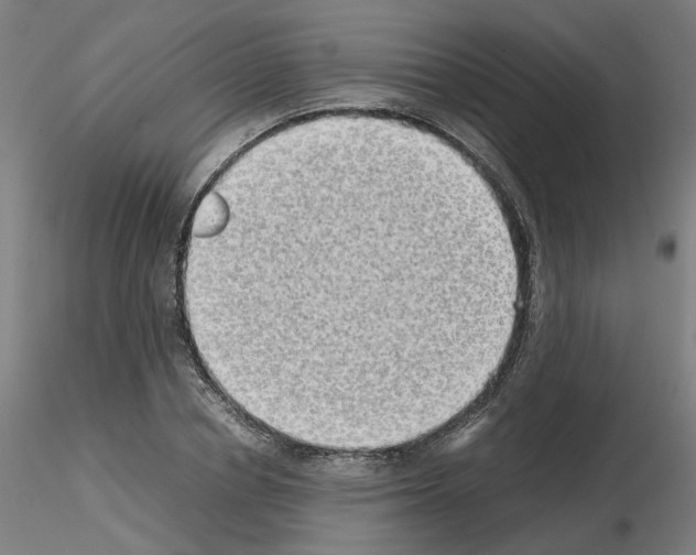 X0000115620834200912221226
