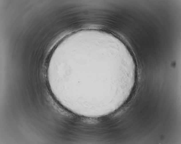 X0000115620835200912221226