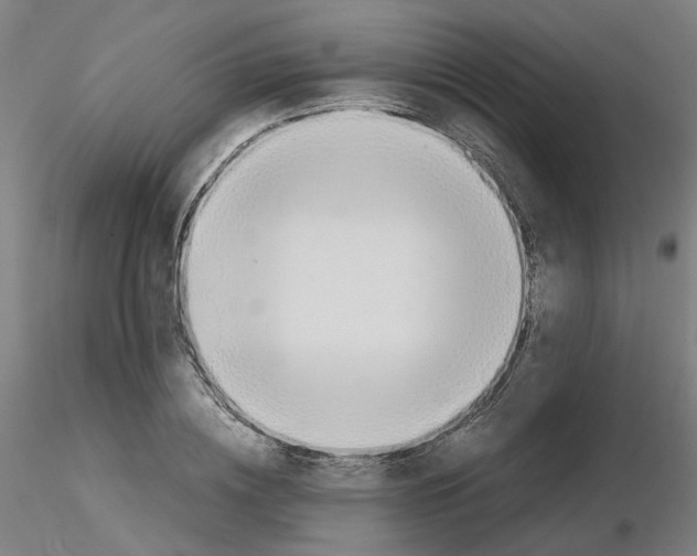 X0000115620836200912221226