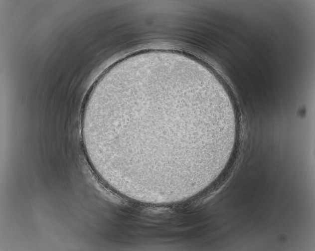 X0000115620837200912221226
