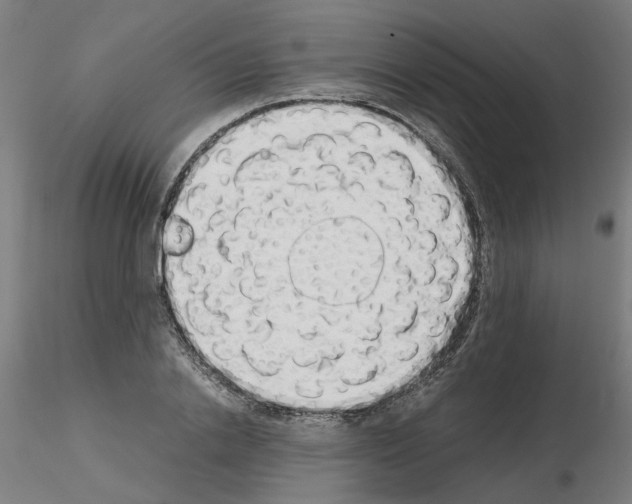 X0000115620838200912221226