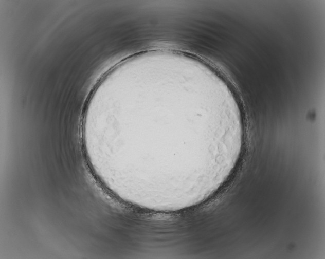 X0000115620839200912221226