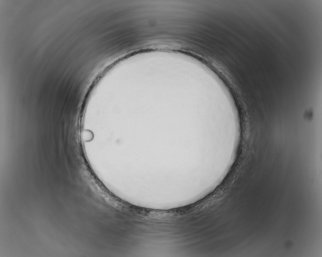 X0000115620840200912221226