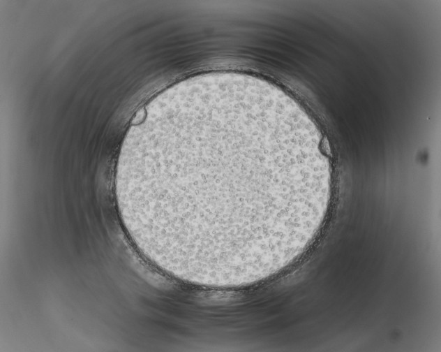 X0000115620841200912221226
