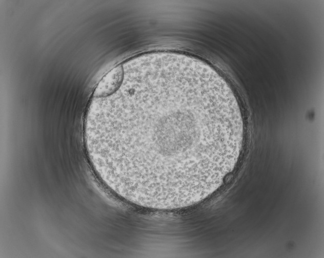 X0000115620842200912221226