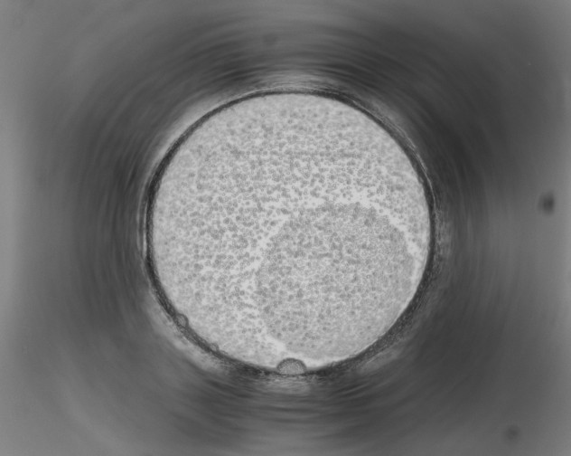 X0000115620843200912221226