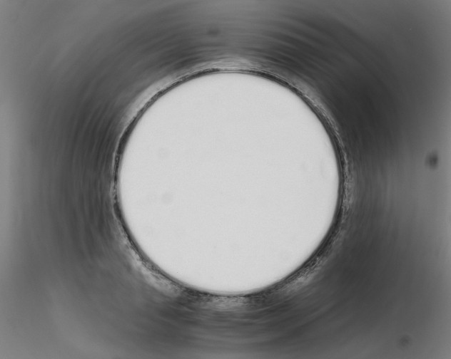 X0000115620845200912221226