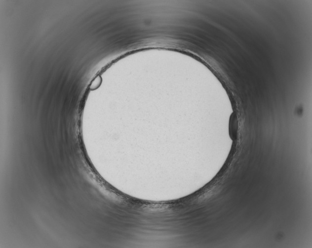 X0000115620846200912221226