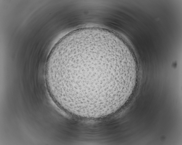 X0000115620847200912221226