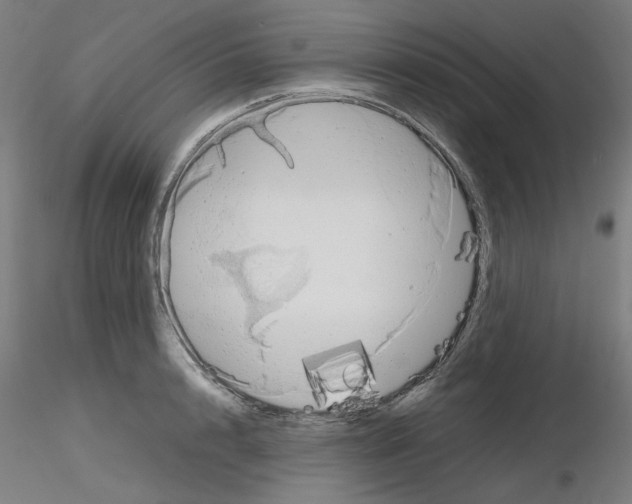 X0000115620848200912221226