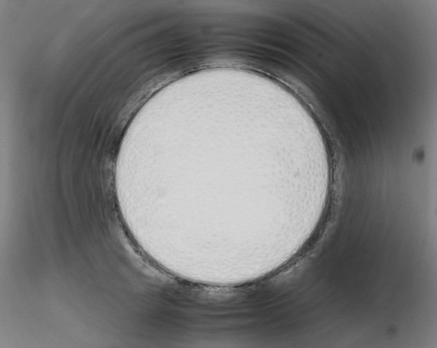 X0000115620849200912221226