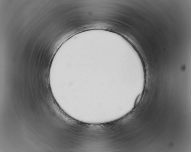 X0000115620850200912221226