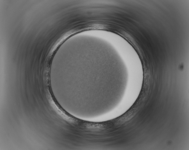 X0000115620851200912221226