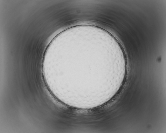 X0000115620853200912221226