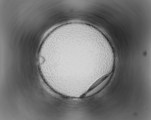 X0000115620854200912221226