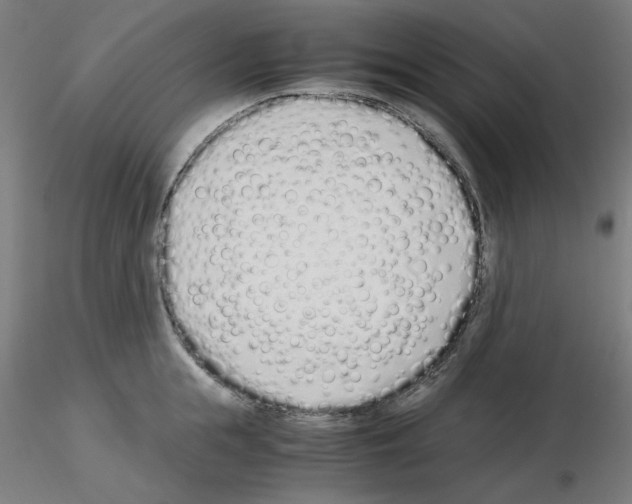 X0000115620855200912221226