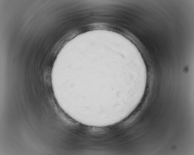 X0000115620857200912221227