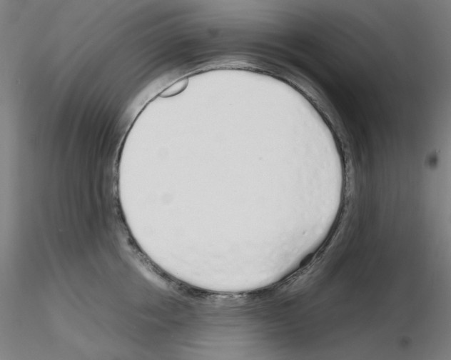 X0000115620858200912221227