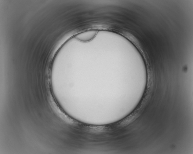 X0000115620859200912221227