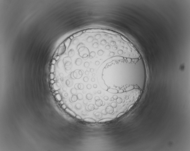 X0000115620862200912221227
