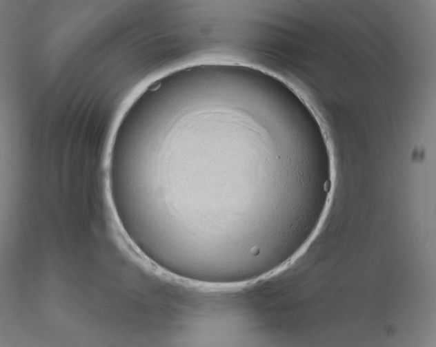 X0000115620864200912221227